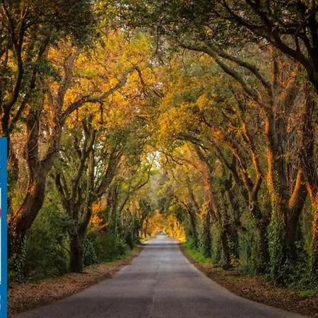 Antico Borgo Le Querce Lägenhet Santa Luce